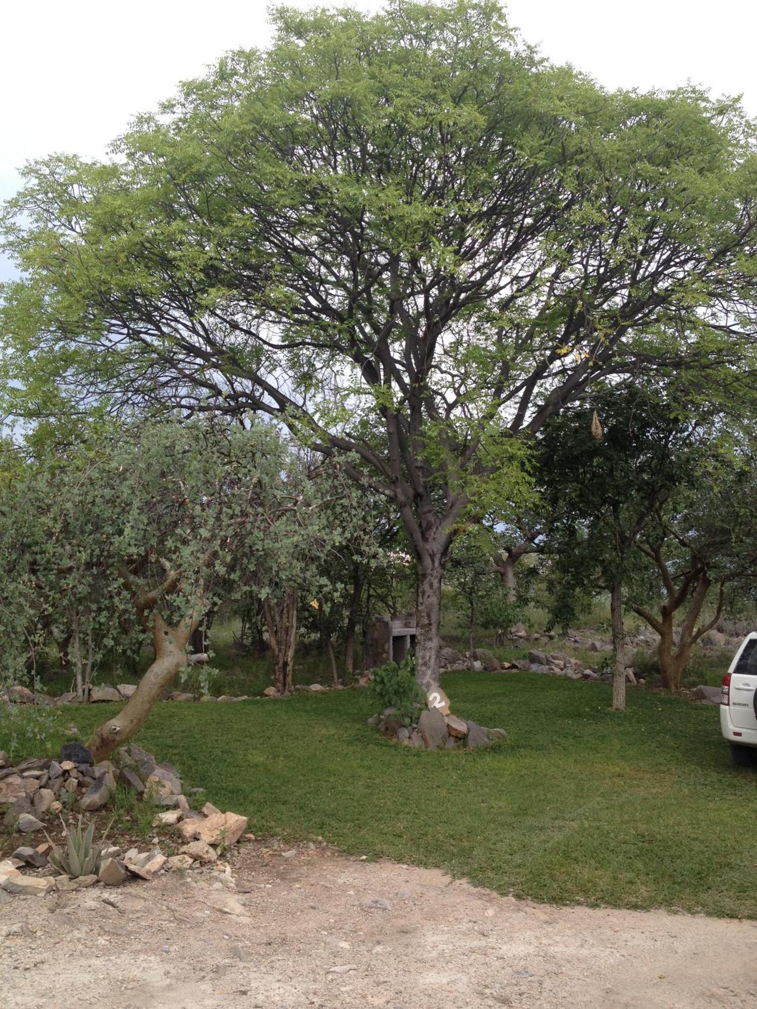 Villa Mondjila Safari Camp Okaukuejo Exterior foto